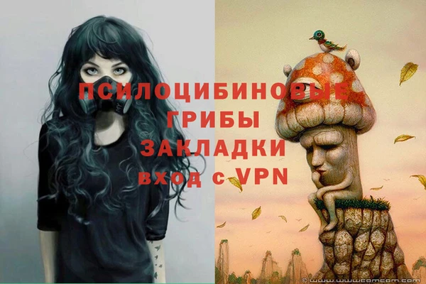 PSILOCYBIN Липки
