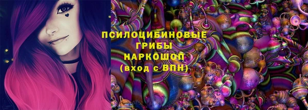 PSILOCYBIN Липки