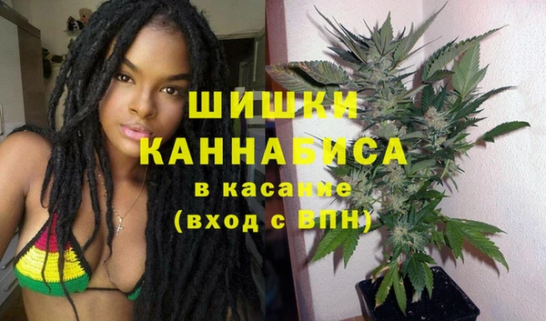 PSILOCYBIN Липки