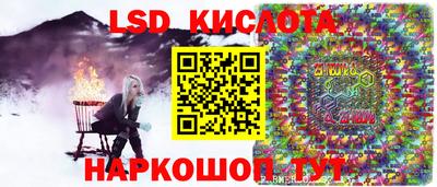крисы Новодвинск