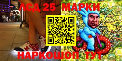 крисы Новодвинск