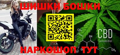 крисы Новодвинск