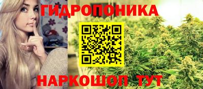 ешки Новозыбков