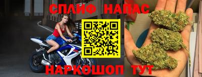ешки Новозыбков