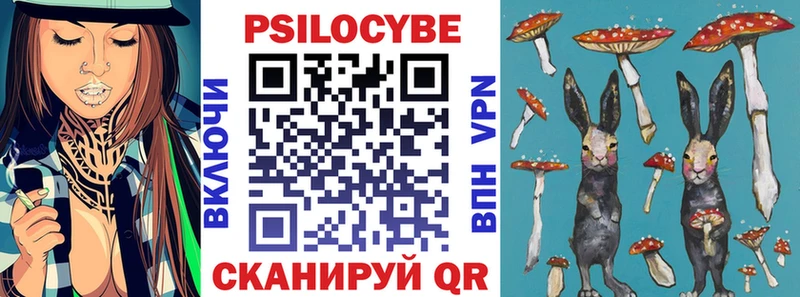 Псилоцибиновые грибы мицелий  Чайковский 