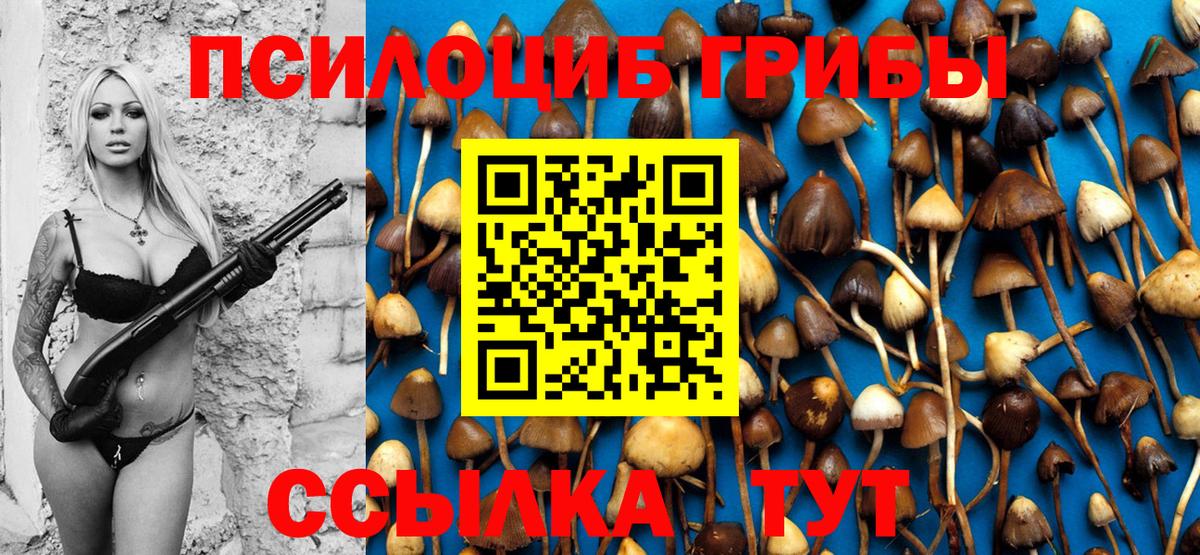 Псилоцибиновые грибы ЛСД Чайковский
