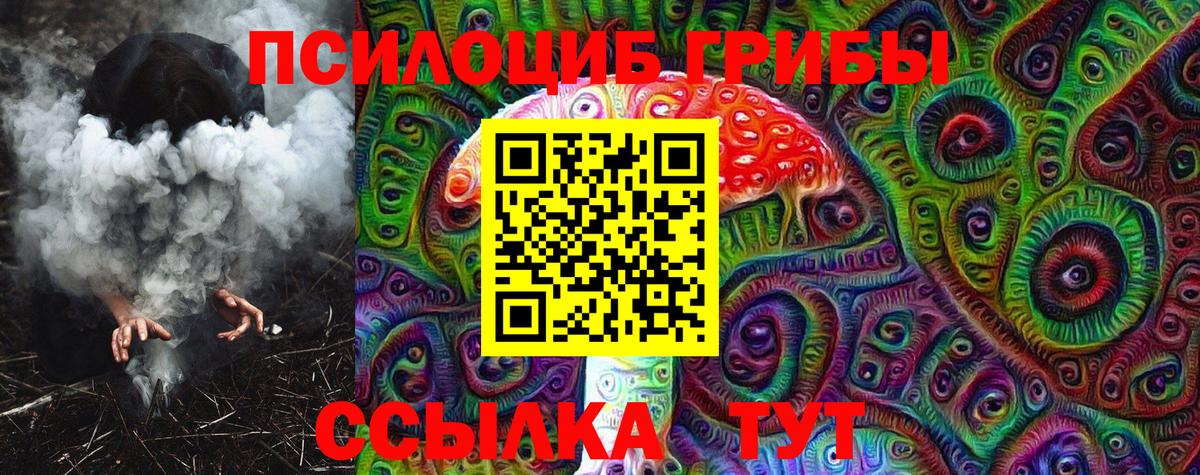 Псилоцибиновые грибы Psilocybe Чайковский