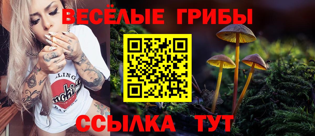 Чайковский  Псилоцибиновые грибы GOLDEN TEACHER  Вход с VPN  Псилоцибиновые грибы прущие грибы 